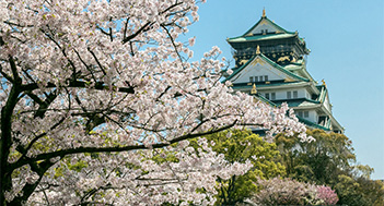 桜と散策が楽しめる都市のオアシス