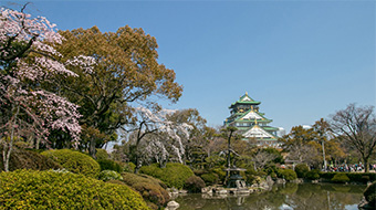 大阪の園芸スポットとイベント