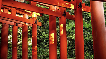 代表的な大阪の神社