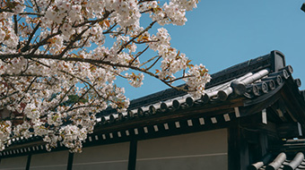 美しい建築物と庭園を楽しむ